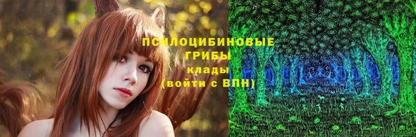 гидропоника Алзамай