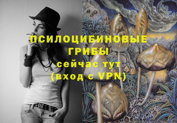 гидропоника Алзамай