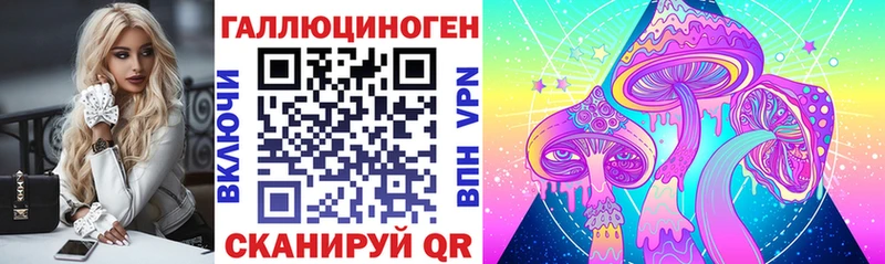 Галлюциногенные грибы Cubensis  где можно купить   Ижевск 