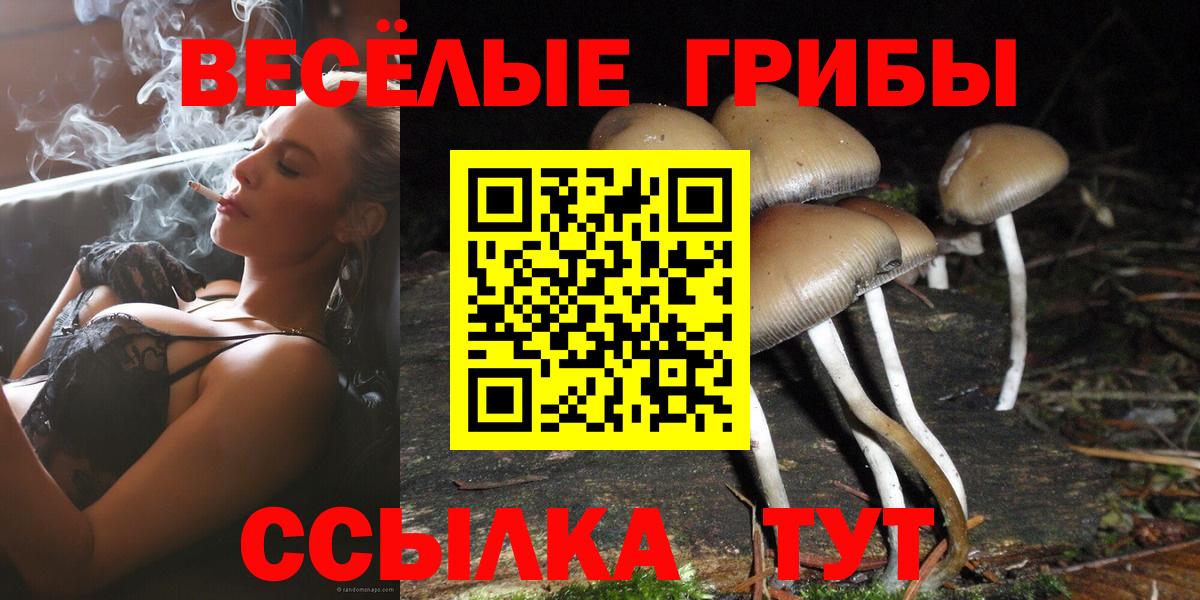 Галлюциногенные грибы Cubensis  Вход с VPN  Галлюциногенные грибы мухоморы  Ижевск 